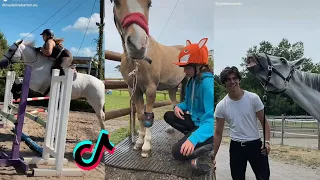 The Cutest HORSES TikTok Compilation 2022 #99