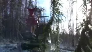 Валочно пакетирующая машина ЛП-19 (ЛесТехКом) / Lestechcom Feller Buncher LP-19