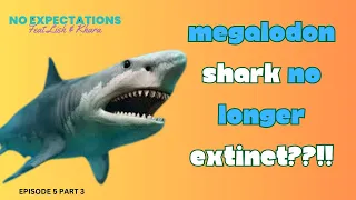 MEGALODON shark NO longer EXTINCT!!?? Living near WESTERN AUSTRALIA