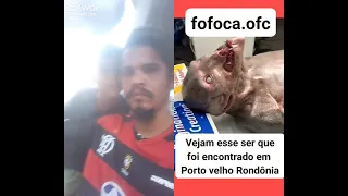 criatura encontrada no rio madeira em Porto velho