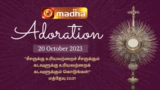 🔴 LIVE 20 October 2023 Adoration 11:00 AM | Madha TV
