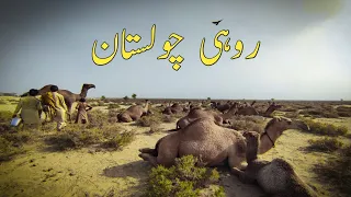 Pakistani Village Life In Desert Near India Border | Rohi Cholistan |  @AkmalPerfectVlogs