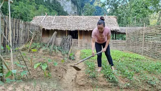 FULL VIDEO: 90 Days Build Garden, Make House, Bamboo Fence - Ep.88