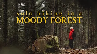 solo hike in a moody forest & nature sounds | cinematic silent hiking | Fujifilm X-T3