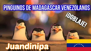 Pinguinos de Madagascar VENEZOLANOS DOBLAJE | Juandinipa