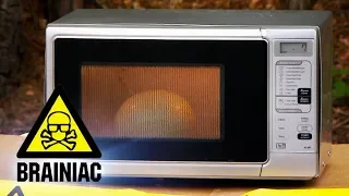 Ostrich Egg + Microwave=? | Brainiac