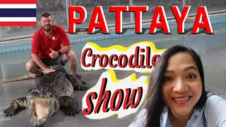 The most fun we did today at Thailand Crocodile Show | Pattaya Tiger Farm