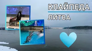 Клайпеда, Литва 2023 | Куршская коса, дельфинарий, морской музей-аквариум, центр города