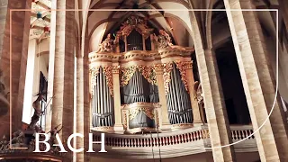 Bach - Christe, aller Welt Trost BWV 670 - Van Doeselaar | Netherlands Bach Society