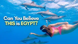 Secret Dolphin Hotspot in Red Sea - Diving with Wild Dolphins in Egypt