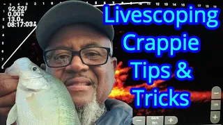 Crappie Fishing with Livescope | Livescope Crappie Fishing