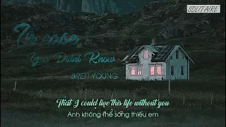 [Lyrics+Vietsub] Brett Young - In Case You Didn't Know