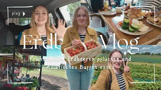 Erdbeer Vlog - Erdbeeren pflücken - Mädelstag