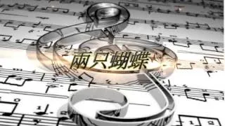 兩只蝴蝶 /伴奏版(全曲層次、節奏、音色,均由”山葉kb-950錄製)