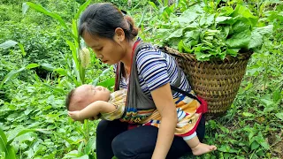 Single mother: Harvesting vegetables to sell at the market, daily life of mother and daughter
