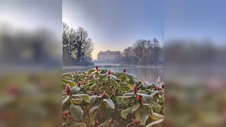 A. Scarlatti - Oratorio Il Giardino di Rose Aria 'Mentr'io godo in dolce oblio'