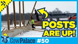 FRAMING Our NEW Dairy Barn Begins!!! | Building Our Cow Palace - Ep50