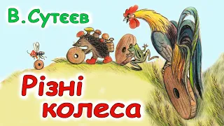 АУДІОКАЗКА НА НІЧ - "РІЗНІ КОЛЕСА" В.Сутєєв | Аудіо казки дітям українською мовою | Слухати онлайн
