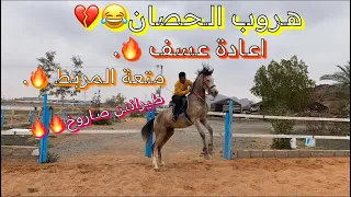 فلوق (٢)ركوب حصان له اربع شهور ما انركب🔥|مربط الساير🤍.