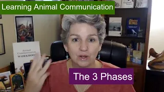 The 3 Phases of Learning Animal Communication