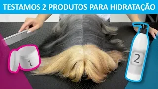 Hidratação Desmaia Pelo - Testando 2 Produtos