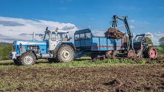 LPG Einsatz - Mist streuen - FORTSCHRITT ZT 303 - Zwiebelzieher T157 ▶ Agriculture Germanyy