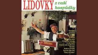 Kdyby Byl Bavorov