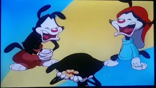 Yakko, Wakko & Dot Crying