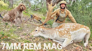 FALLOW BUCK In The Fog - 7mm Rem Mag Deer Hunting