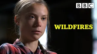 Greta Thunberg visits a Californian town tragically destroyed by wildfires - BBC