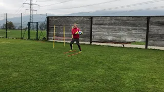 Torwart Training MB mit Andre Breitfuß Sprung Kraft mit Flachen und Halbhohen Bällen