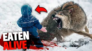 This Wolf Attacked and Ate 22 Children In Front of Their Family!