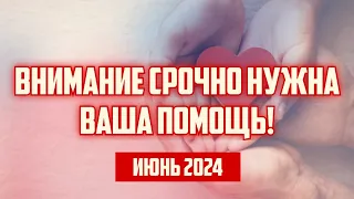 ВНИМАНИЕ СРОЧНО НУЖНА ВАША ПОМОЩЬ! | ИЮНЬ 2024 | КРИМИНАЛЬНАЯ ЛАТВИЯ