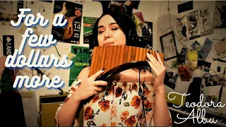 For a few dollars more - pan flute cover