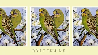 Don't Tell Me | Blancmange Cover by dEk101
