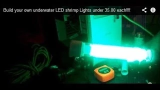 Build your own underwater LED shrimp Lights under 35.00 each!!!!