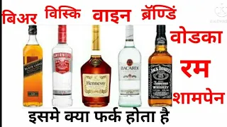 Difference between beer, whiskey, wine, Brandy, vodka, rum and champagne.