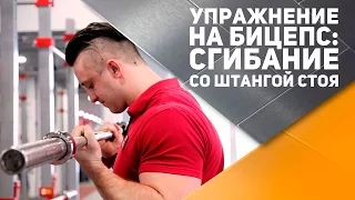 Упражнение на бицепс: сгибания рук со штангой стоя [Спортивный Бро]