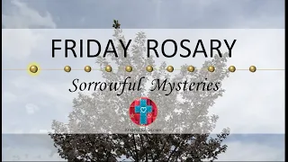 Friday Rosary • Sorrowful Mysteries of the Rosary 💜 April 19, 2024 VIRTUAL ROSARY - MEDITATION