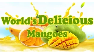 7 Most Delicious Mangoes In The World