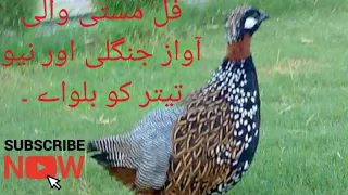 Full masti myn her tater ko bolway ga Jo na bolty ho