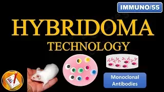 Hybridoma Technology: Production of Monoclonal Antibodies (FL-Immuno/55)