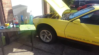 Corvette Tuned Port Injection Tear Down - Cleaning the Filthy Engine Bay