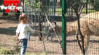 Зоопарк. Гуляем по Николаевскому зоопарку | ВЛОГ |Zoo in Nikolaev