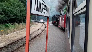 Die Selketalbahn 2020 / Ausfahrt Mägdesprung (04.07.2020)