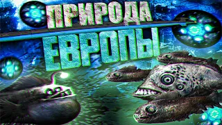 Barotrauma - Биомы и Флора Европы|#1|