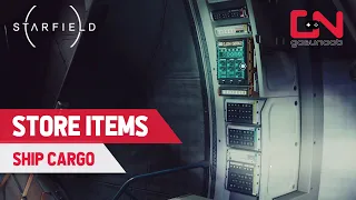 How to Store Items in Your Ship in Starfield
