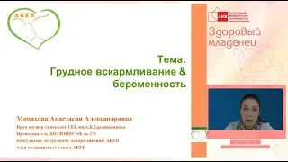 Монахова А.А. "Грудное вскармливание & беременность"