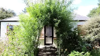 Living Willow Structures Arches and Tunnel Summer Update