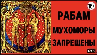 ВСЯ ПРАВДА ПРО микродозинг. Почему мухоморы ЗАПРЕЩЕНЫ РАБАМ? Факты  (18+)